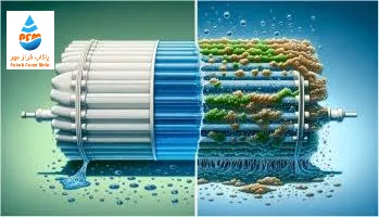 بایوفیلینگ چیست و چگونه در سیستم ایجاد میشود؟