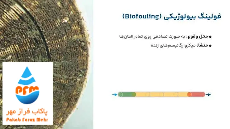 بایوفیلینگ در کدام بخشهای دستگاه تصفیه آب صنعتی بیشتر رخ میدهد؟